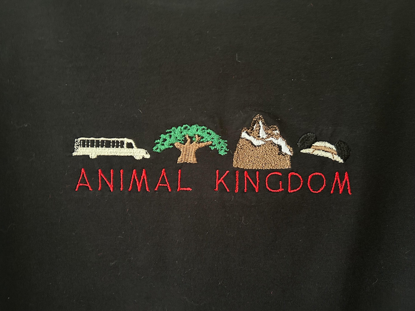 Disney Animal Kingdom inspired embroidered top