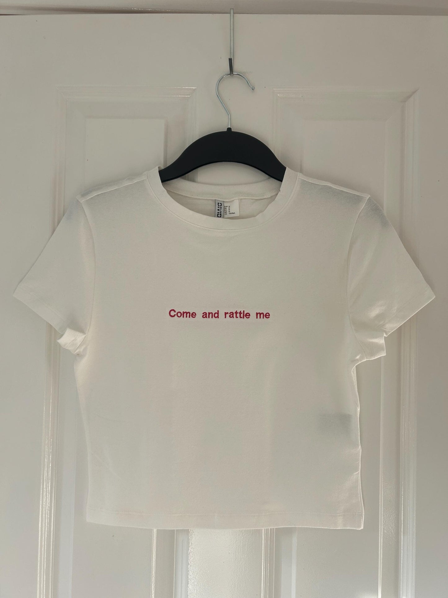 Custom lyrics/phrase embroidered T-shirt or baby tee